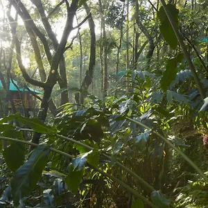 Resort Dream Catcher, Munnar